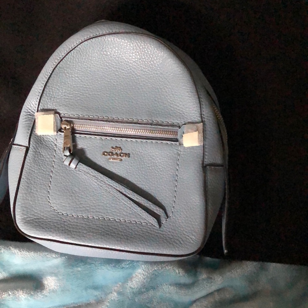 Coach backpack or belt bag.